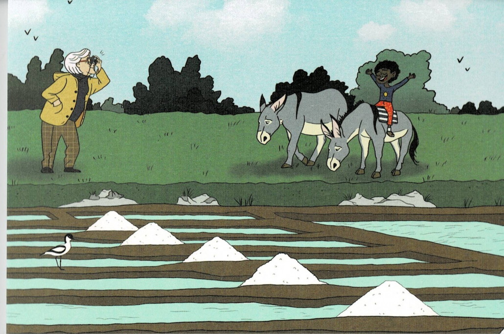 Carte postale FOURMI DESSINE Les marais salants