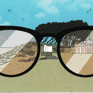 Carte postale FOURMI DESSINE Week end ensoleillé à Noirmoutier